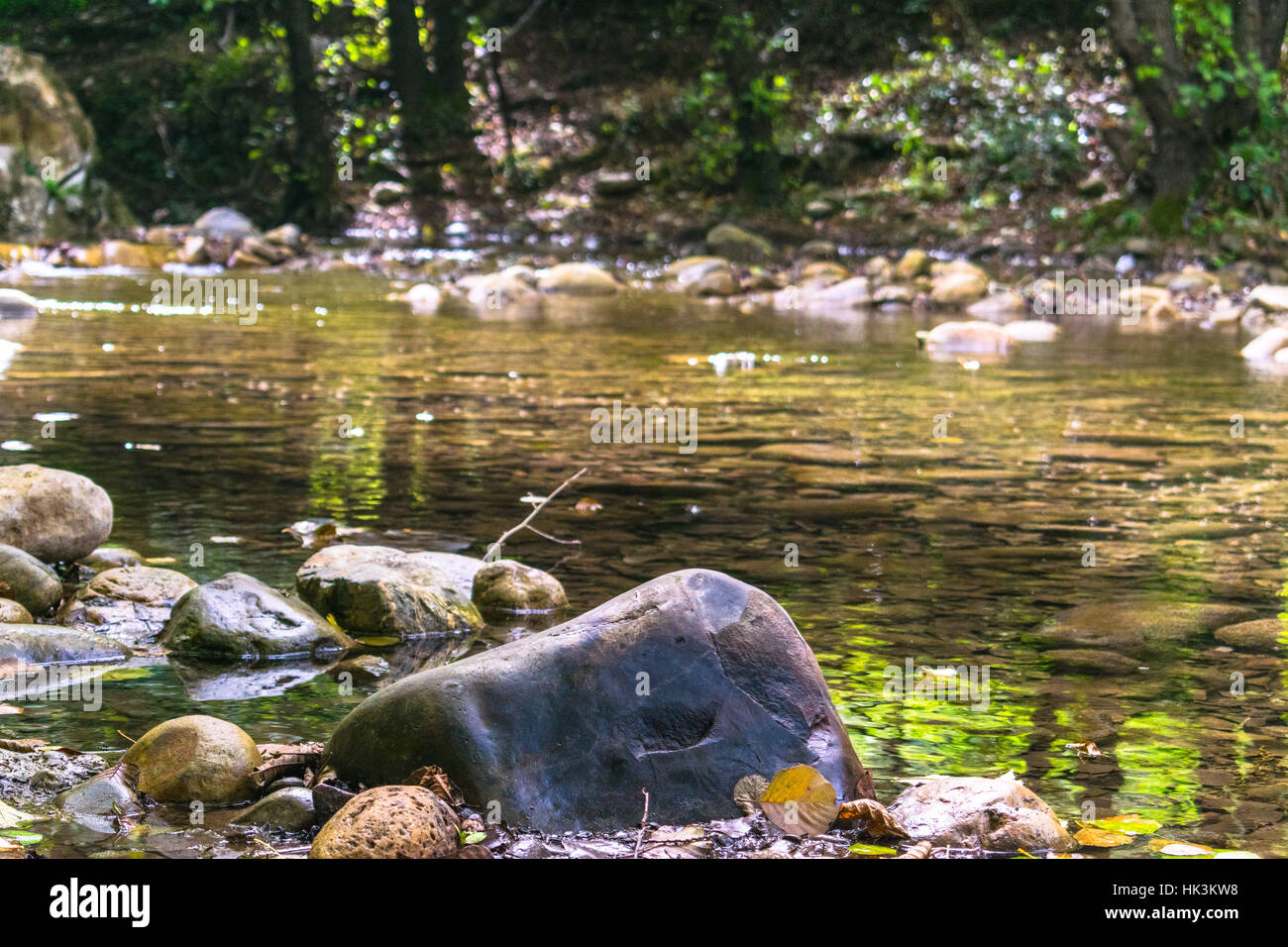 rocky river , in the woods , algeria , north africa Stock Photo