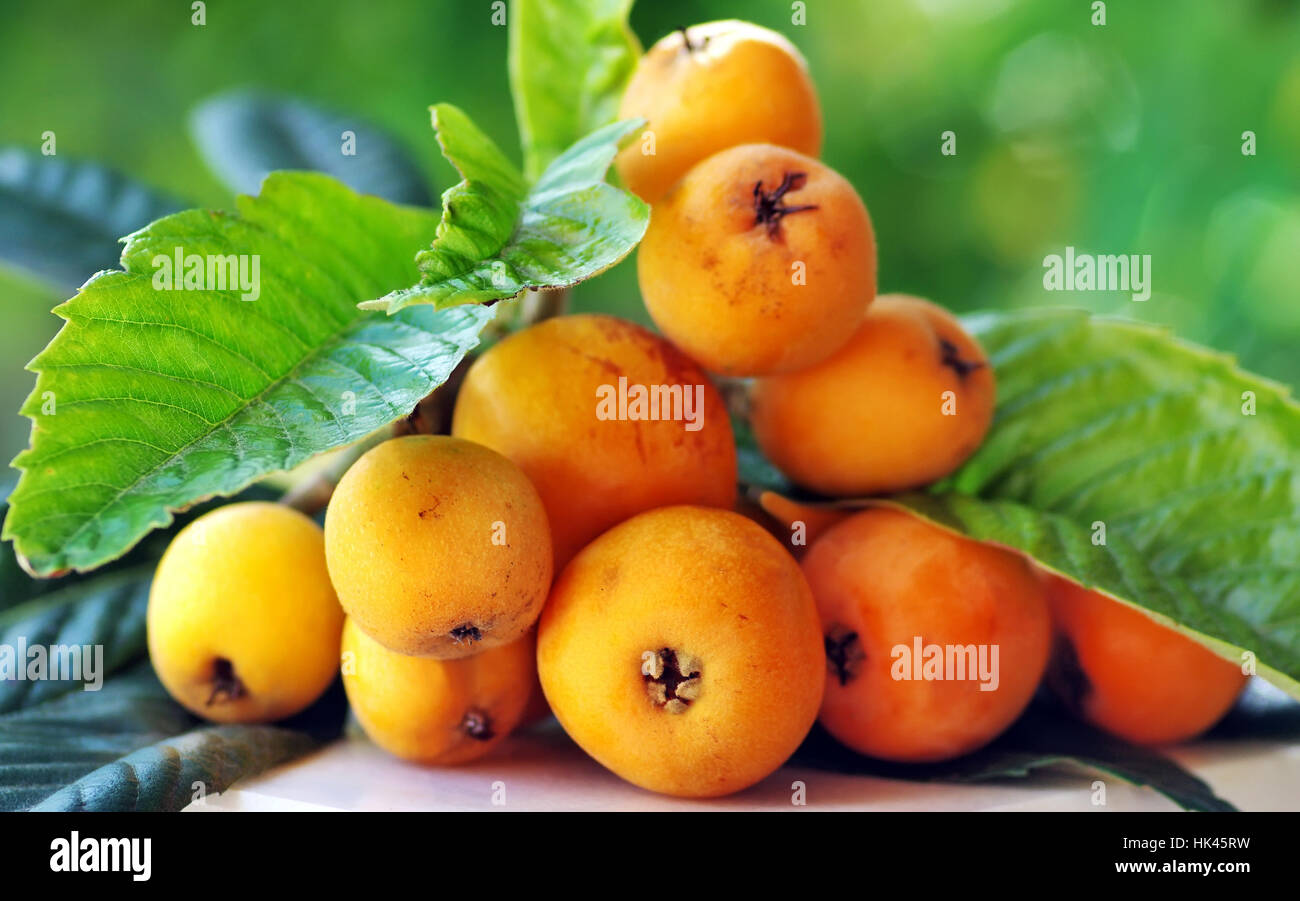 orange, food, aliment, vitamins, vitamines, fruit, fresh, yellow, close, still Stock Photo