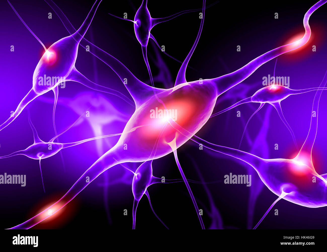 Neuron nerve cell illustration hi-res stock photography and images - Alamy