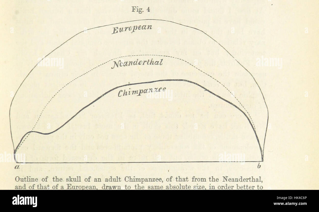 Interlocking Humans An illustration from page 107 of 'The Geological Evidences of the ...