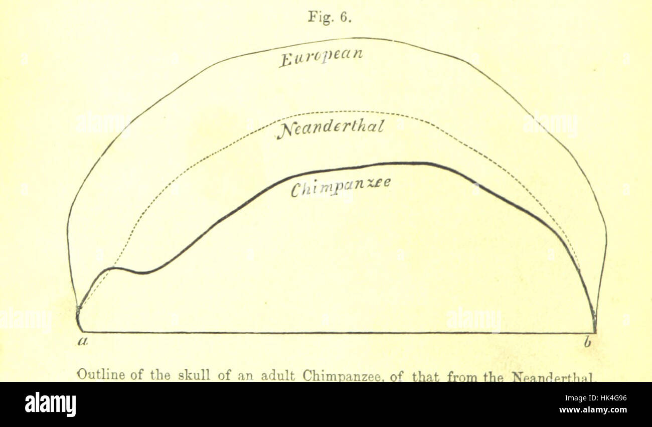 [The Geological Evidences of the Antiquity of Man, with remarks on theories of the origin of species by variation. Illustrated by woodcuts.] Image taken from page 118 of '[The Geological Stock Photo