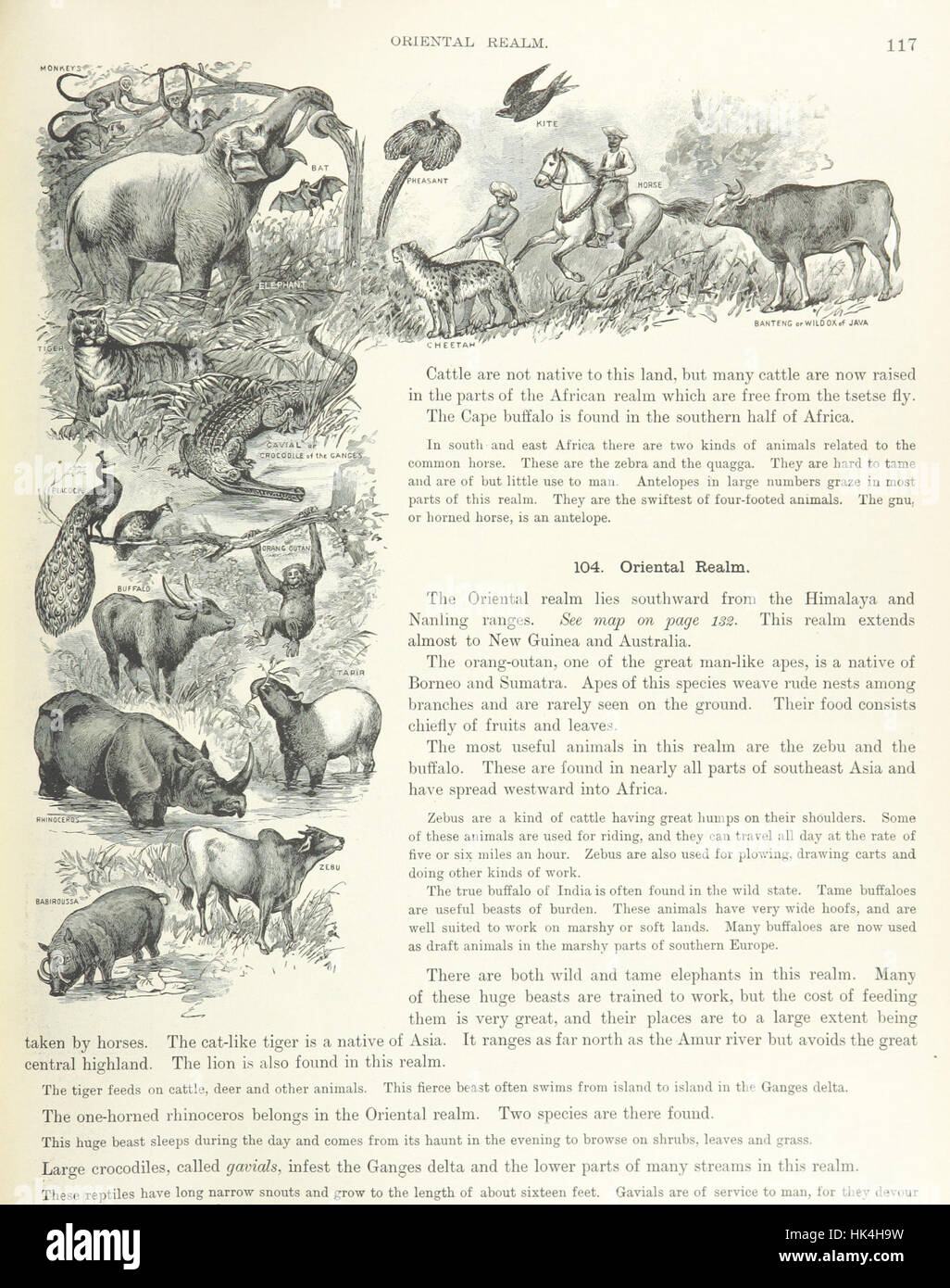 The image from page 121 of 'Advanced Geography' shows a detailed map or ...
