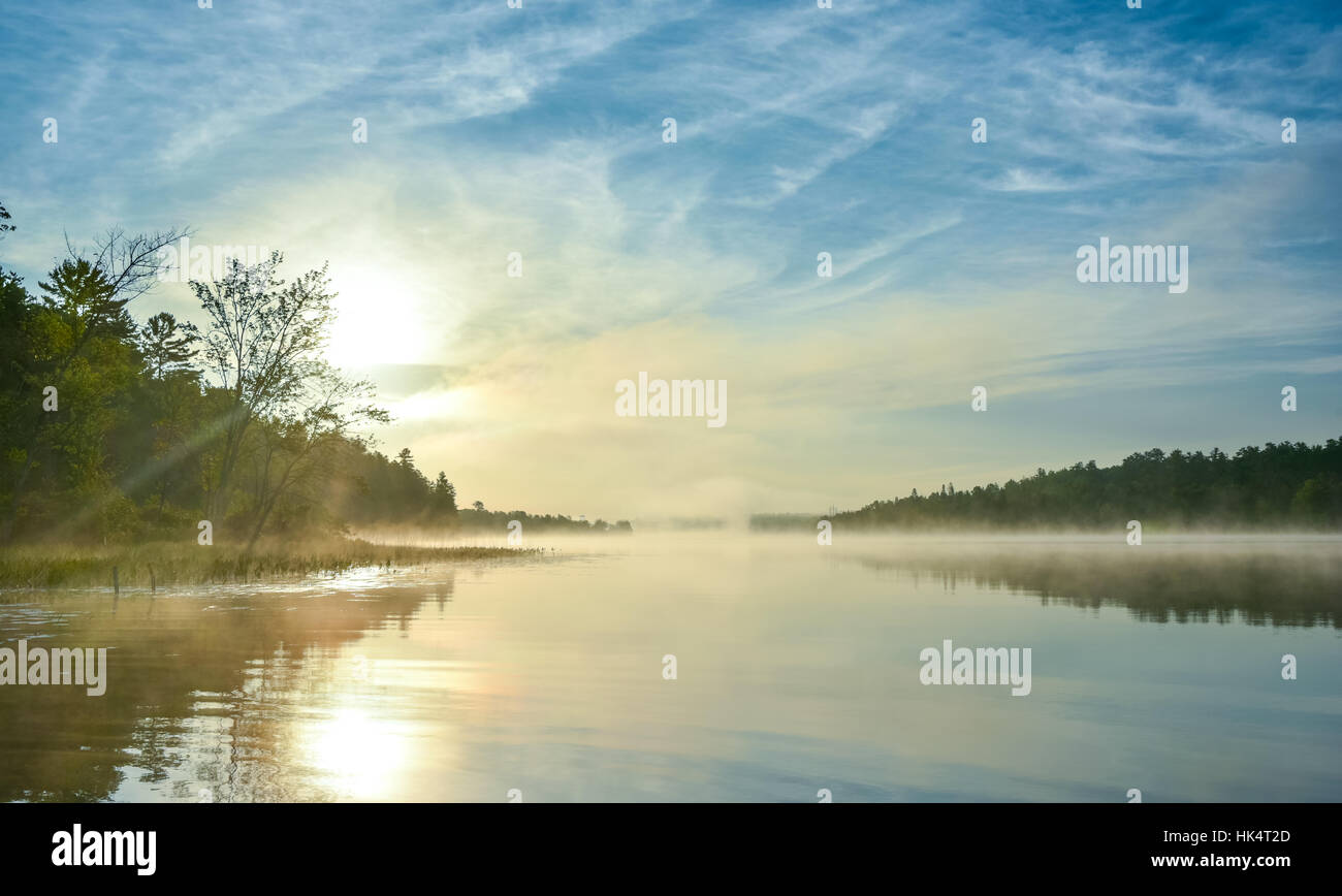 Misty enshrouded forest hi-res stock photography and images - Alamy