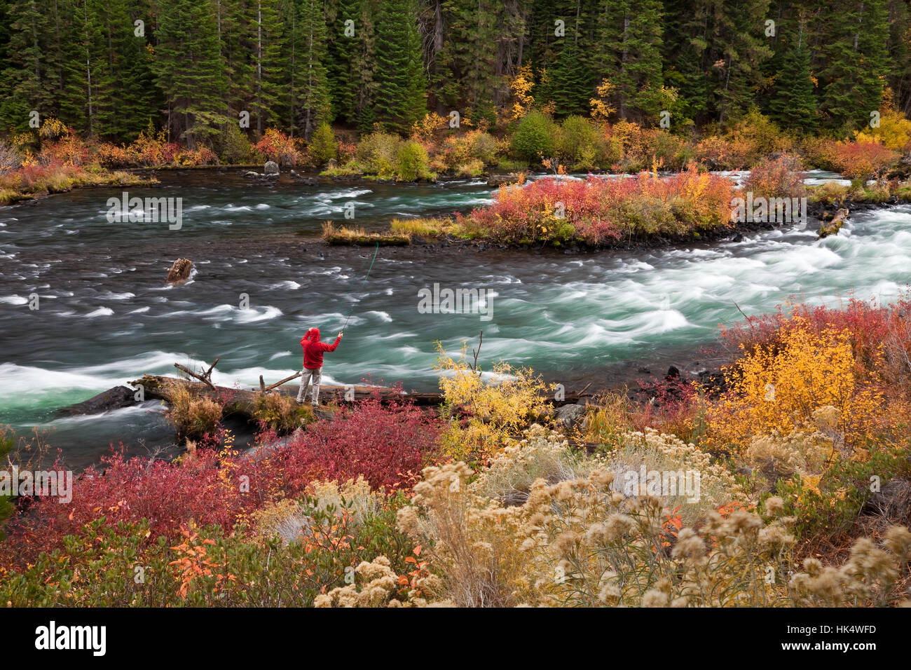 Autumn Fly fishing on the Deschutes River Outside Bend Oregon Stock Photo