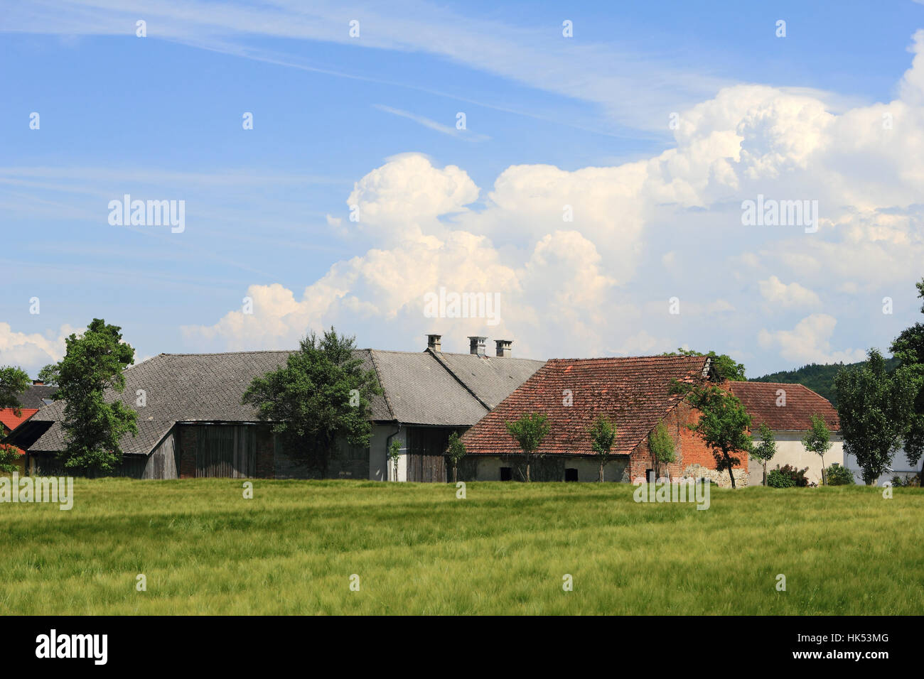 agriculture, farming, yard, fields, farm, courtyard, rural, peasant