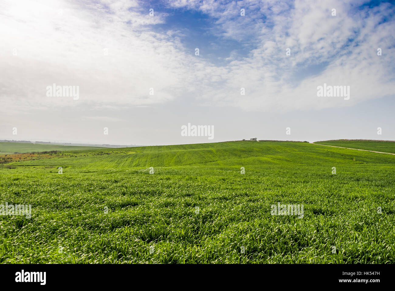 landscape sky clouds and grass Stock Photo - Alamy