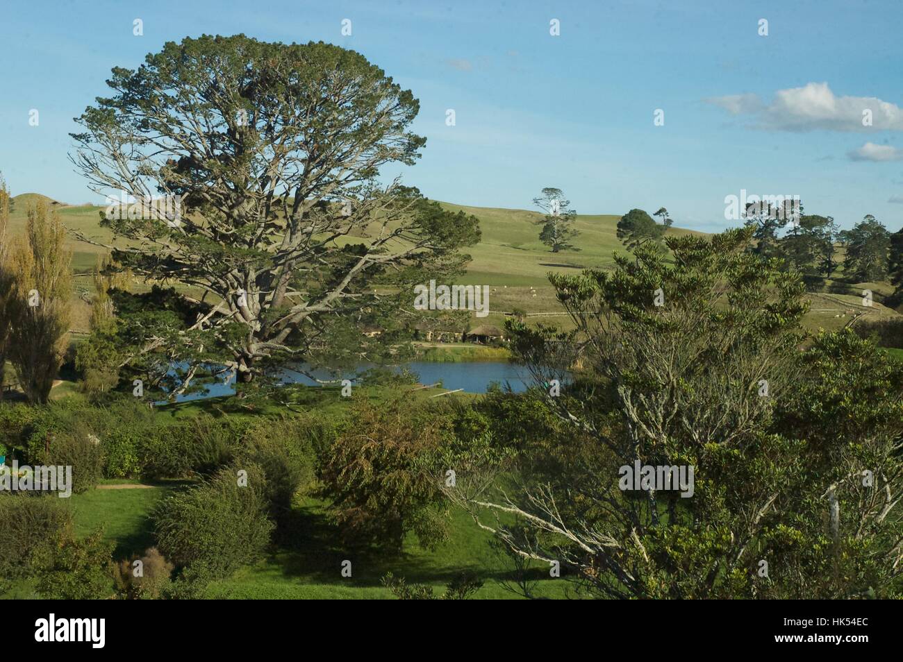 New Zealand landscape. Stock Photo