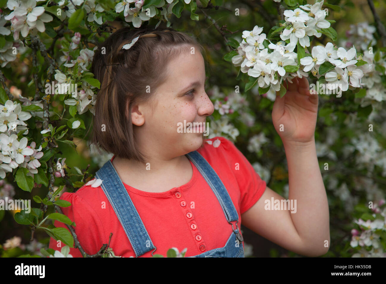 girl under blooming apple tree Stock Photo