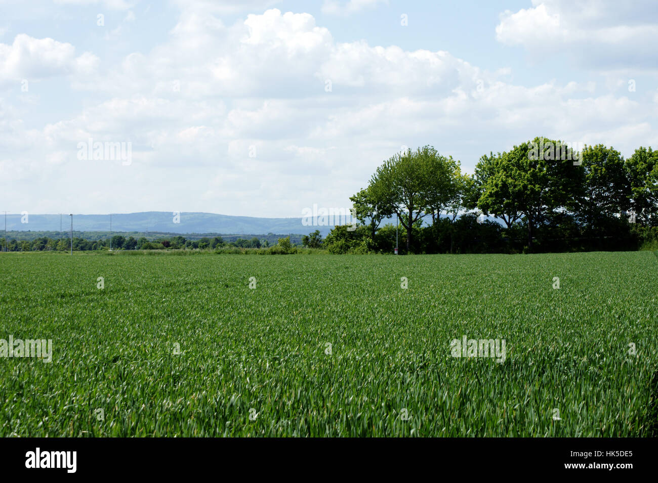 rural, peasant, tree, trees, mountains, agriculture, farming, field ...