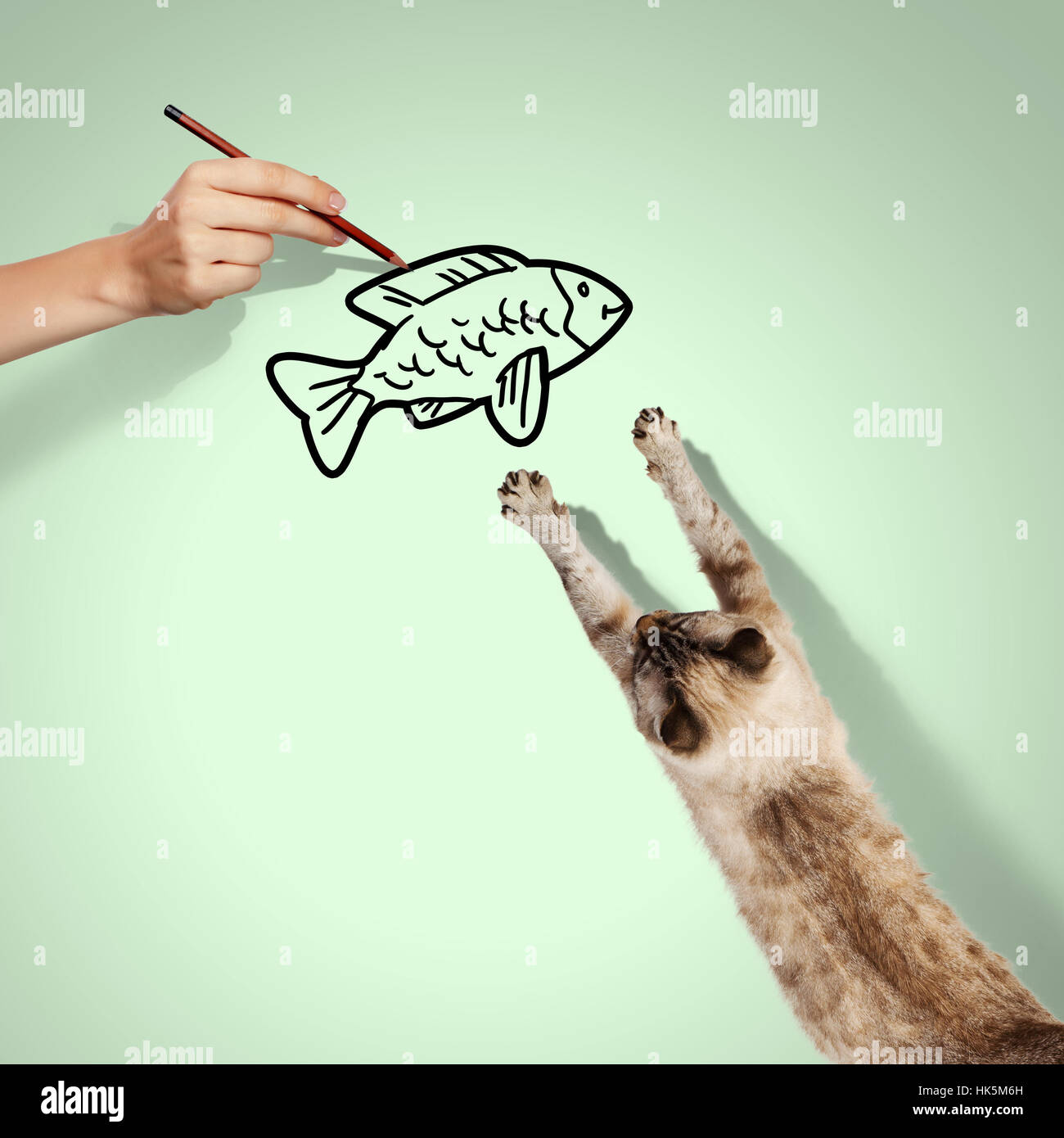 Image of siamese cat catching drawed fish hi-res stock photography and ...