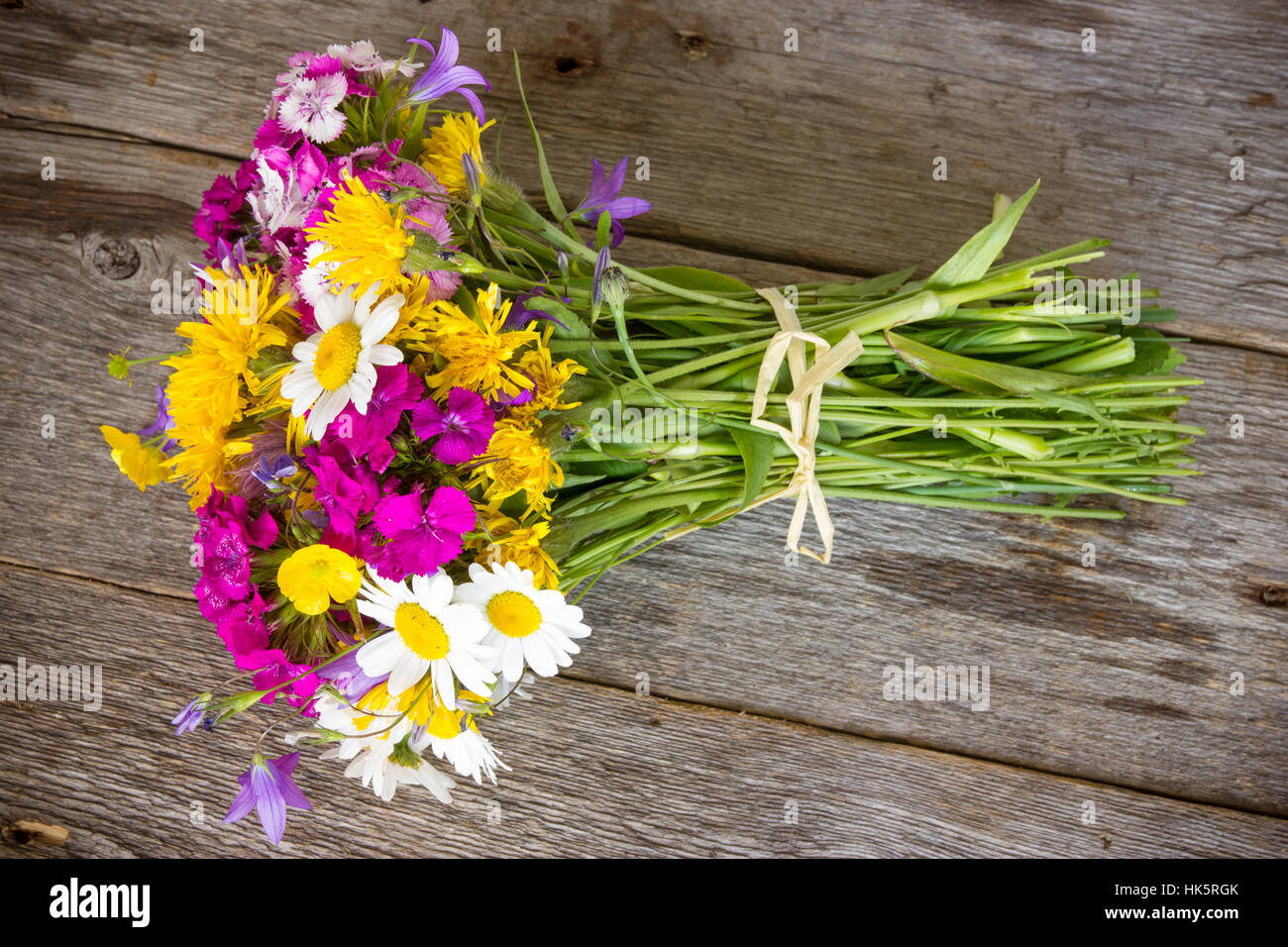 beautiful, beauteously, nice, flower, plant, wild, leaves, field, flora, Stock Photo