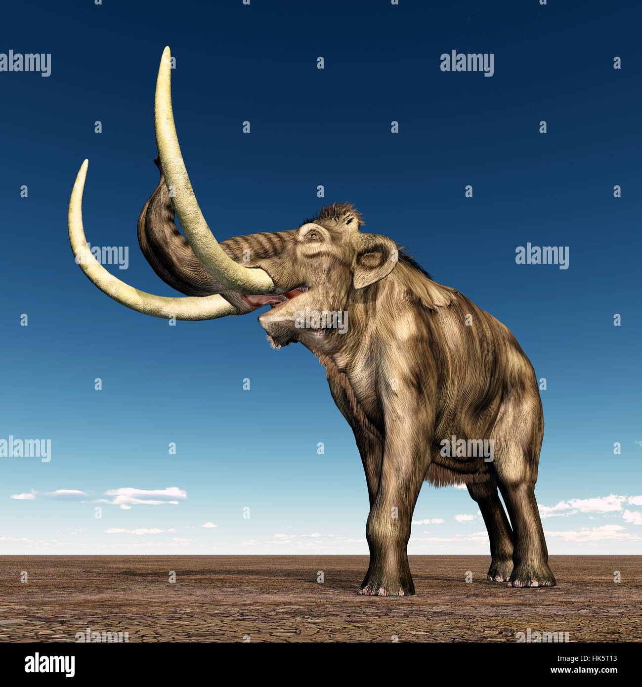 elephant, ivory, tusk, mammoth, palaeontology, big, large, enormous
