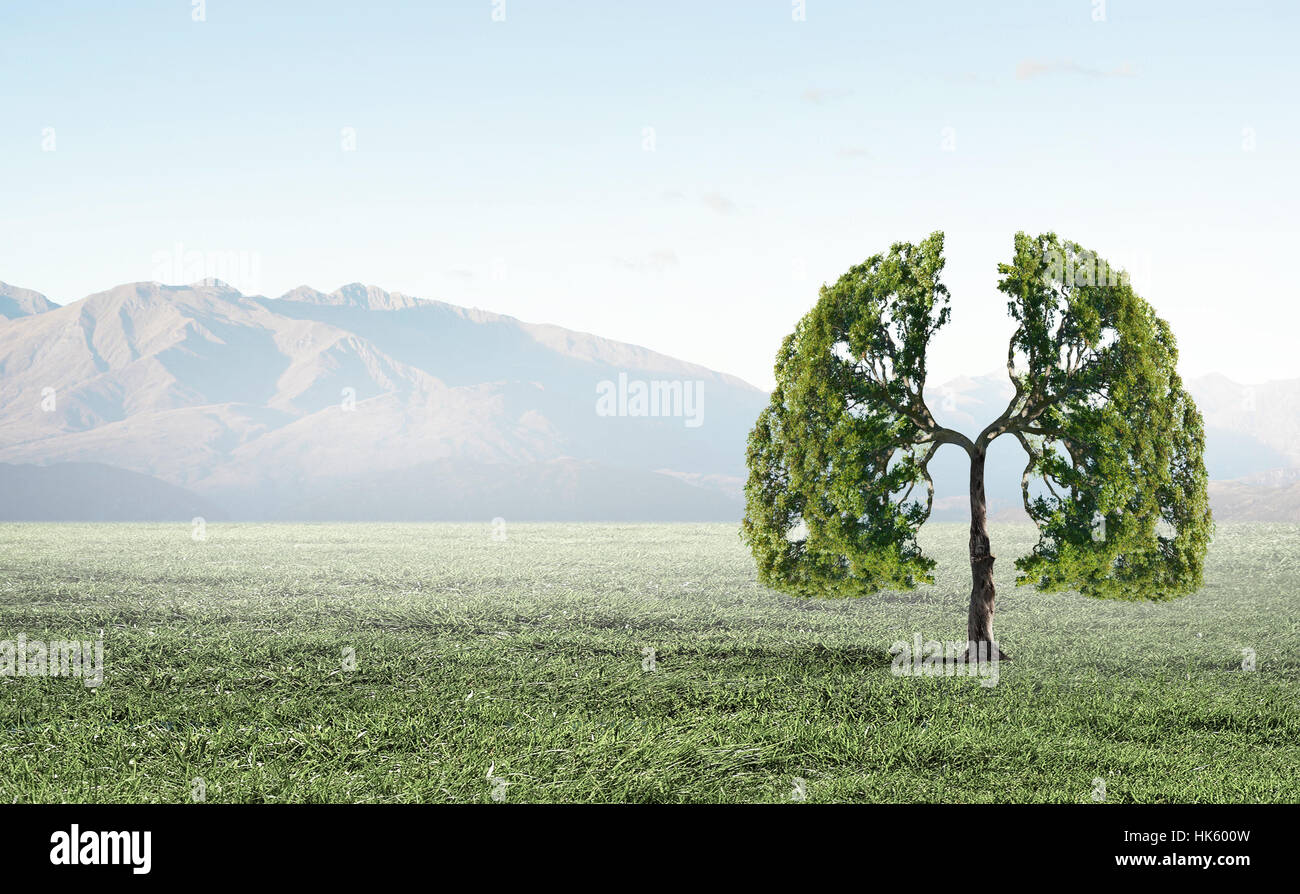 Human Tree Shape Conceptual image of green tree shaped like human lungs Stock Photo - Alamy