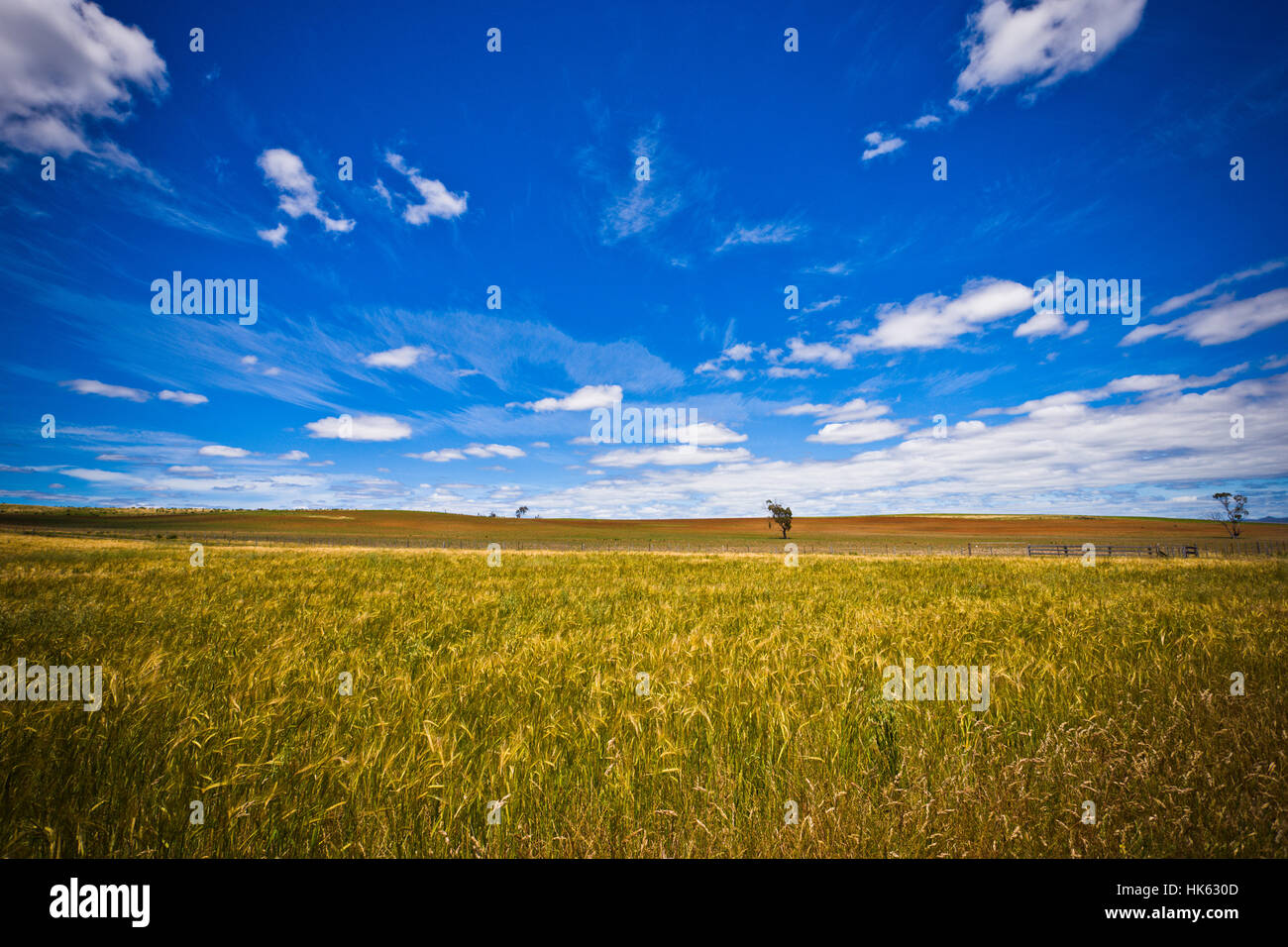 blue, beautiful, beauteously, nice, horizon, land, landscape, scenery, Stock Photo