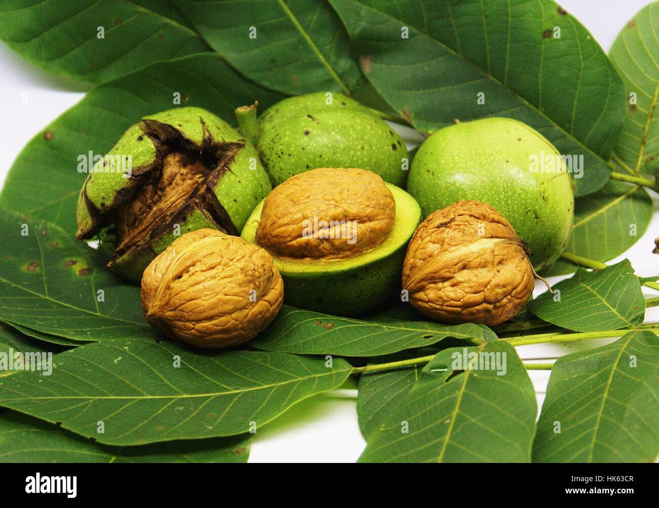 fruit, nut, walnut, food, aliment, leaf, eco, fruit, hard, bowl