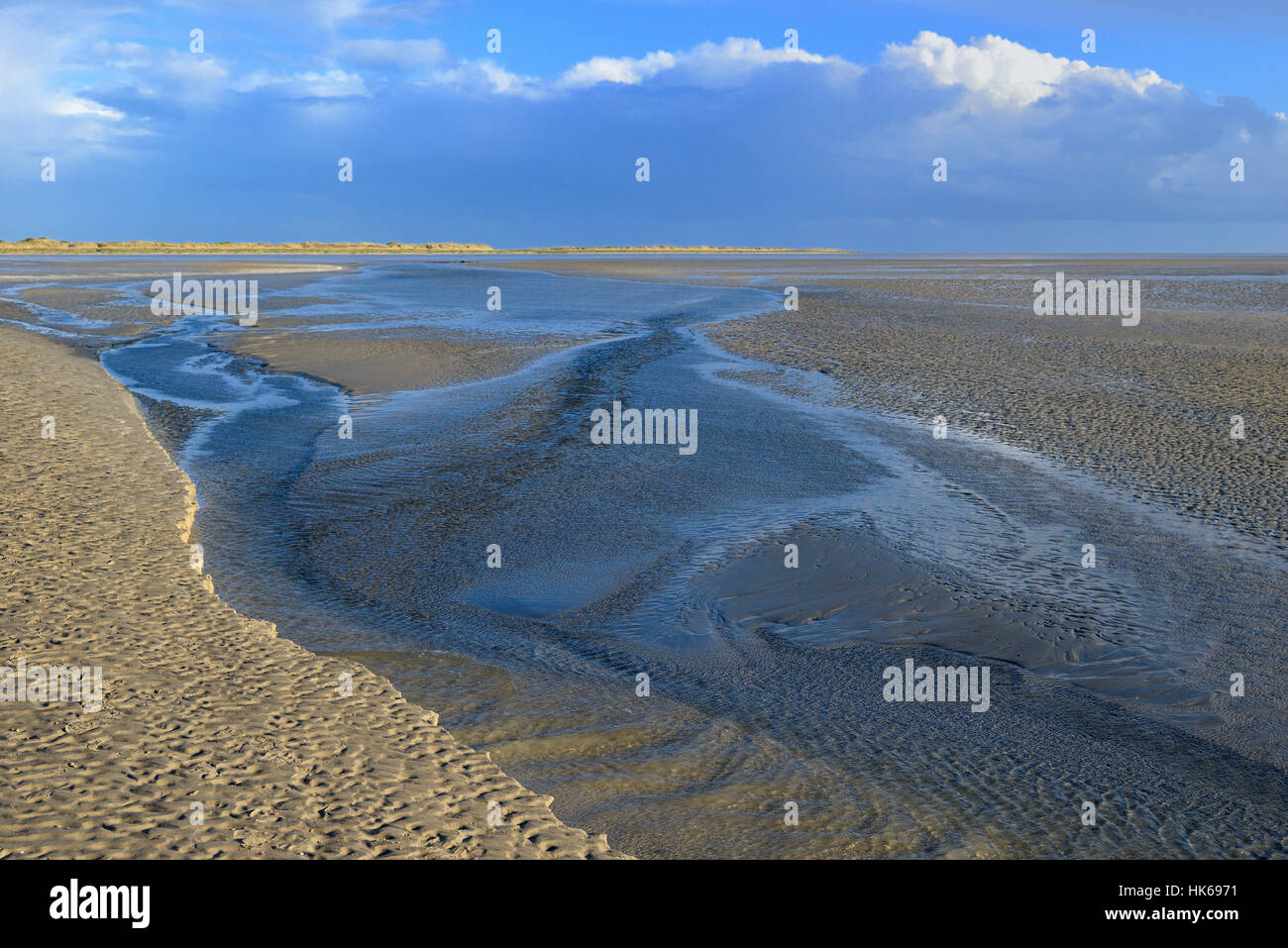 Sandbank with water receding at low tide, St. Peter-Ording, Schleswig-Holstein Wadden Sea National Park, North Frisia Stock Photo