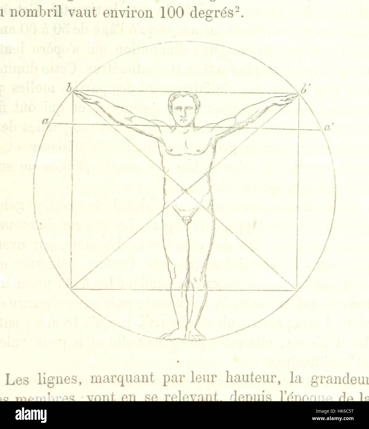 Anthropométrie, ou mesure des différentes facultés de l'homme Image taken  from page 251 of 'Anthropométrie, o Stock Photo - Alamy