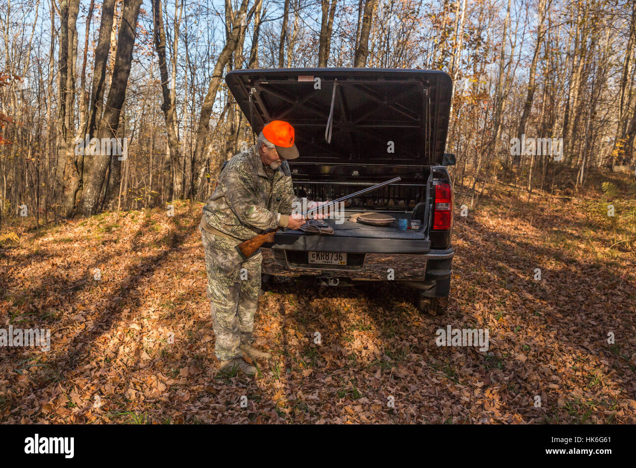 Ruffed grouse hunting in autumn Stock Photo Alamy