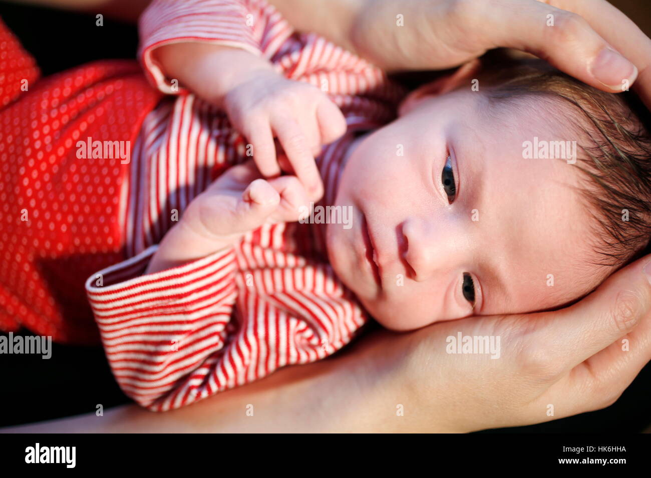 Two-week-old baby with hands of parents Stock Photo
