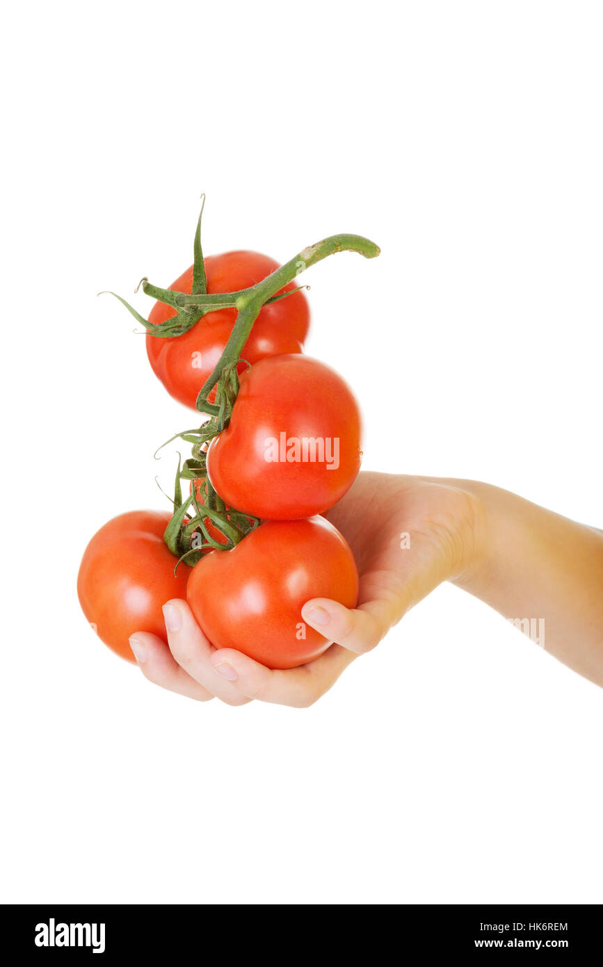 Woman hand holding bunch of tomatoes. Isolated on white Stock Photo - Alamy