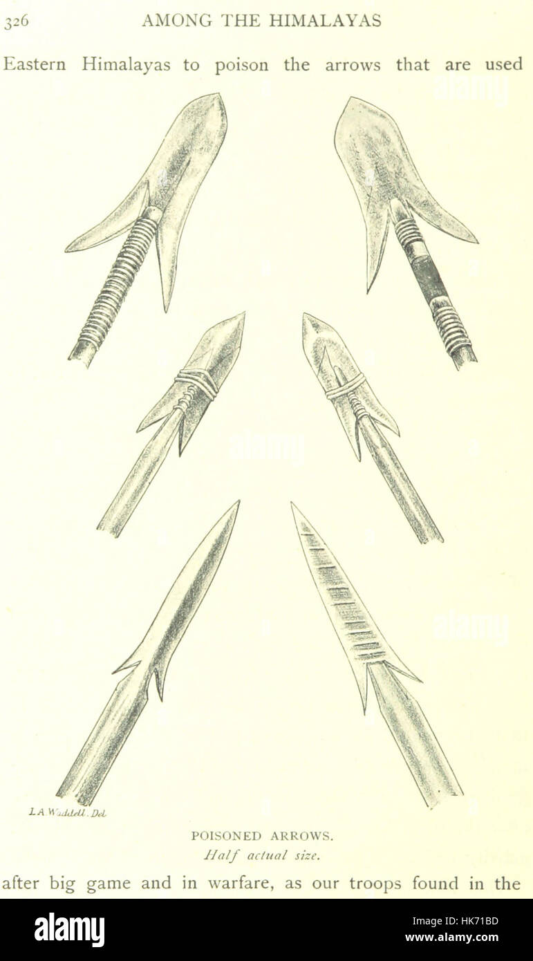 Image taken from page 348 of 'Among the Himalayas ... With numerous illustrations by A. D. McCormick, the author, etc' Image taken from page 348 of 'Among th Stock Photo