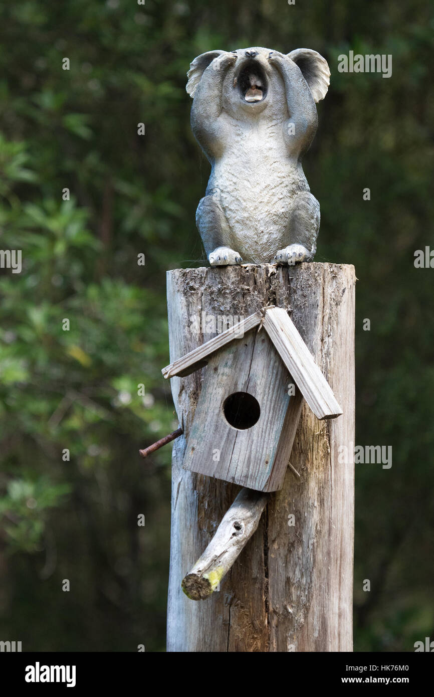 crying koala sculpture above a wooden nestbox Stock Photo