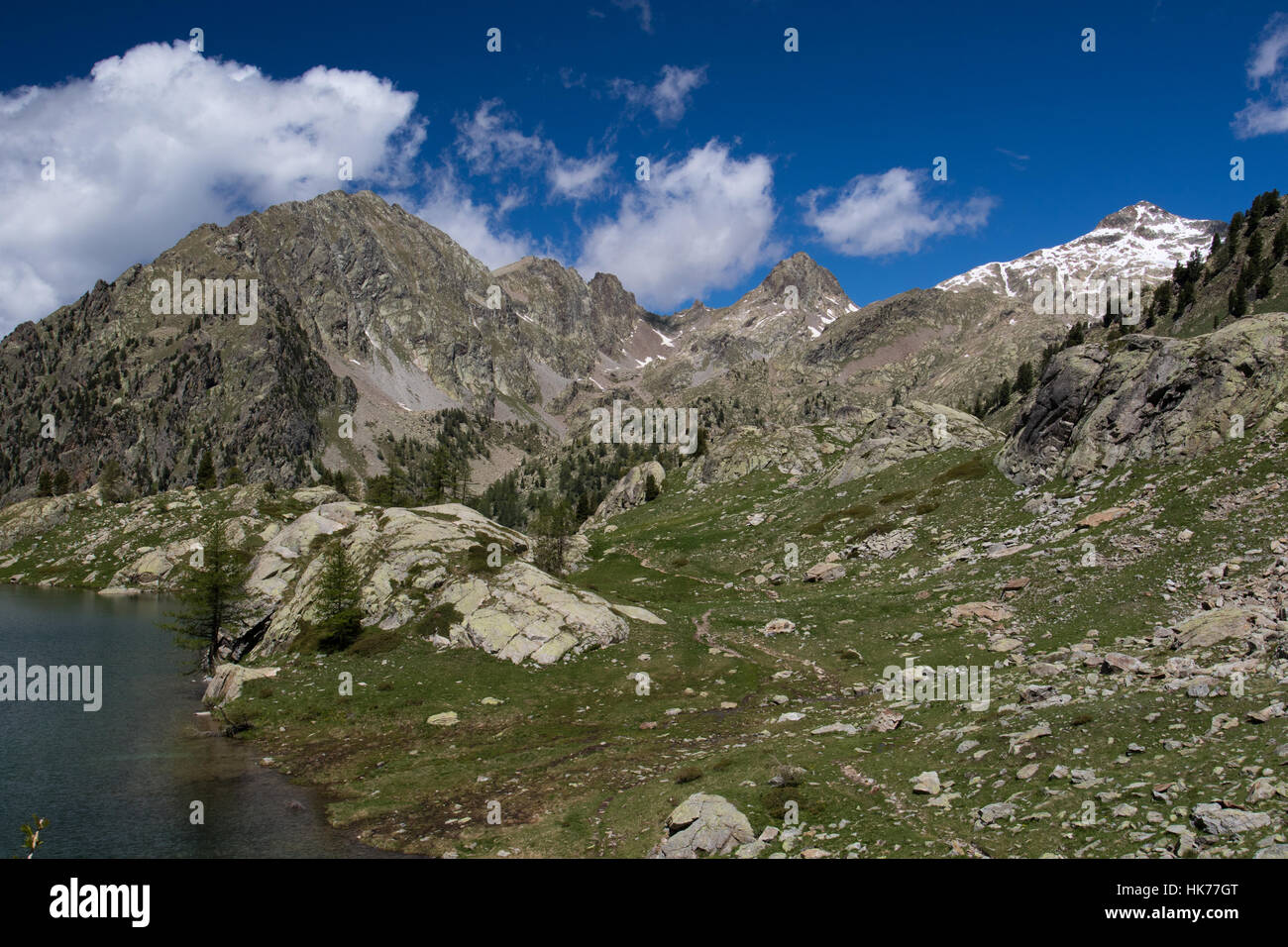 Rocky grassland at a lake shore above the treeline in Mercantour National Park, France Stock Photo