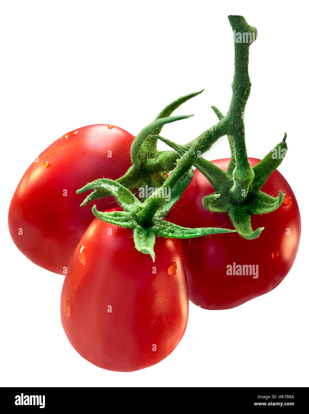 Cluster of fresh plum processing Roma VF tomatoes (Solanum lycopersicum), on vine. Clipping path, shadowless Stock Photo