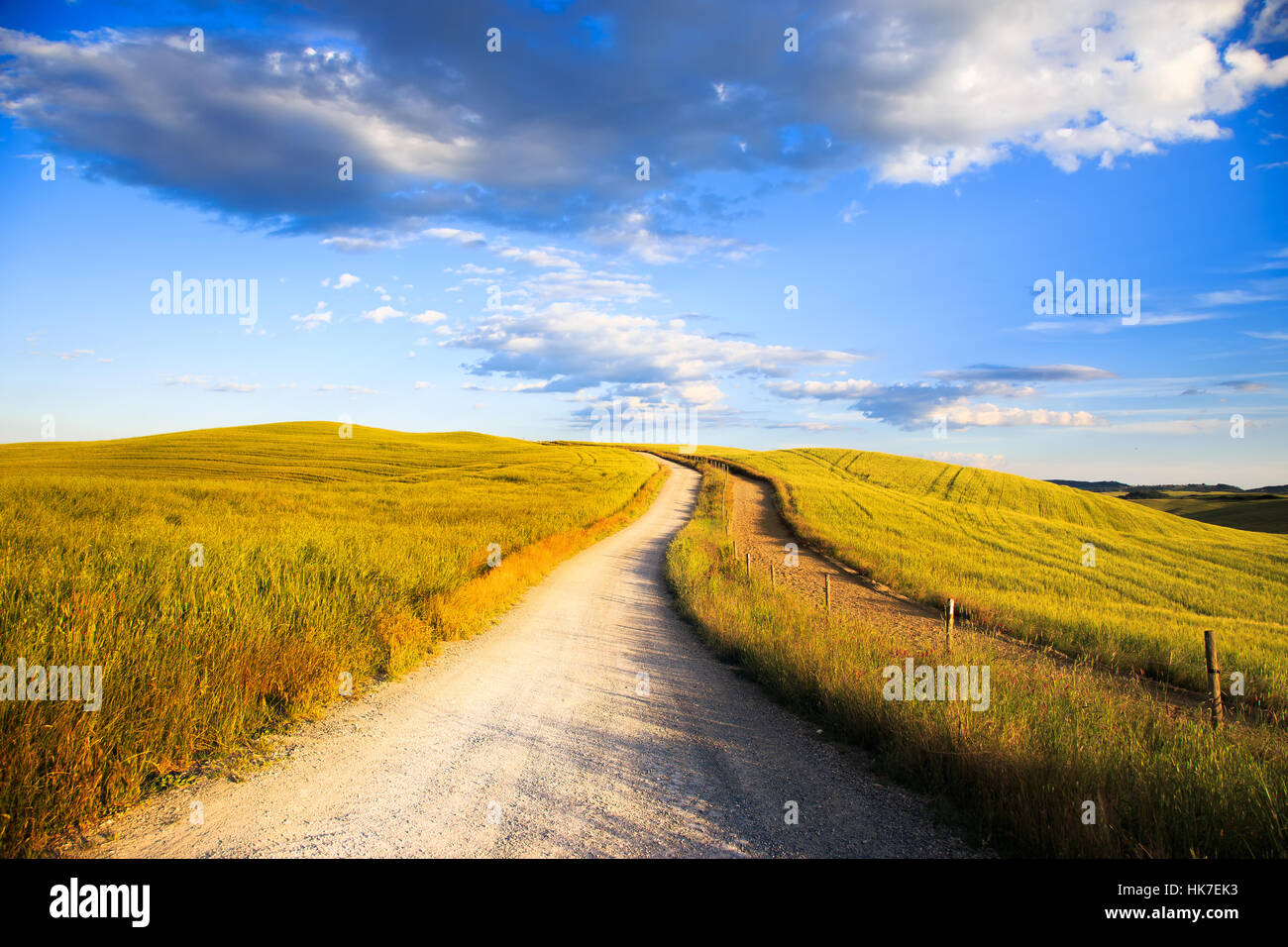 White road on rolling hill and wheat field in a rural landscape. Val d Orcia land near Siena, Tuscany, Italy, Europe. Stock Photo