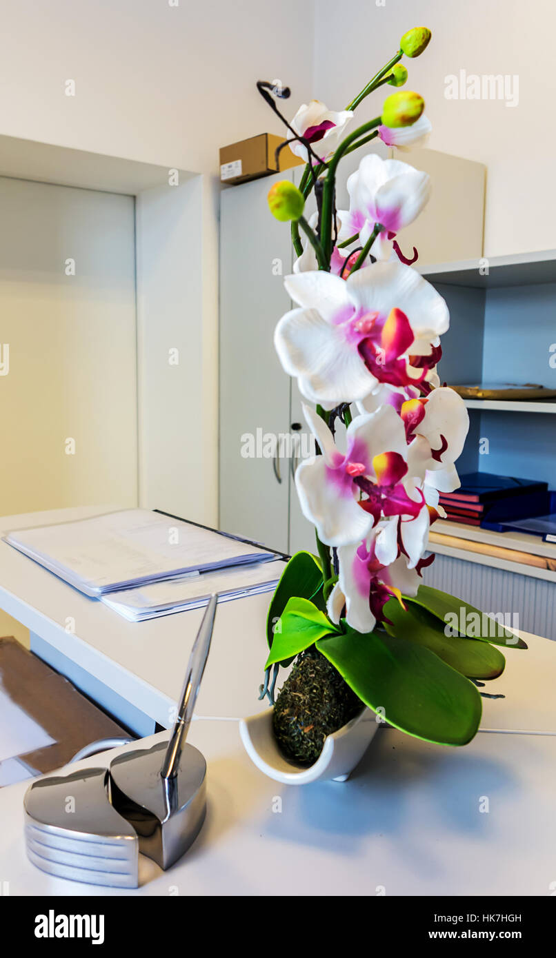 Office Desk Object Flower Plant Door Blank European Stock