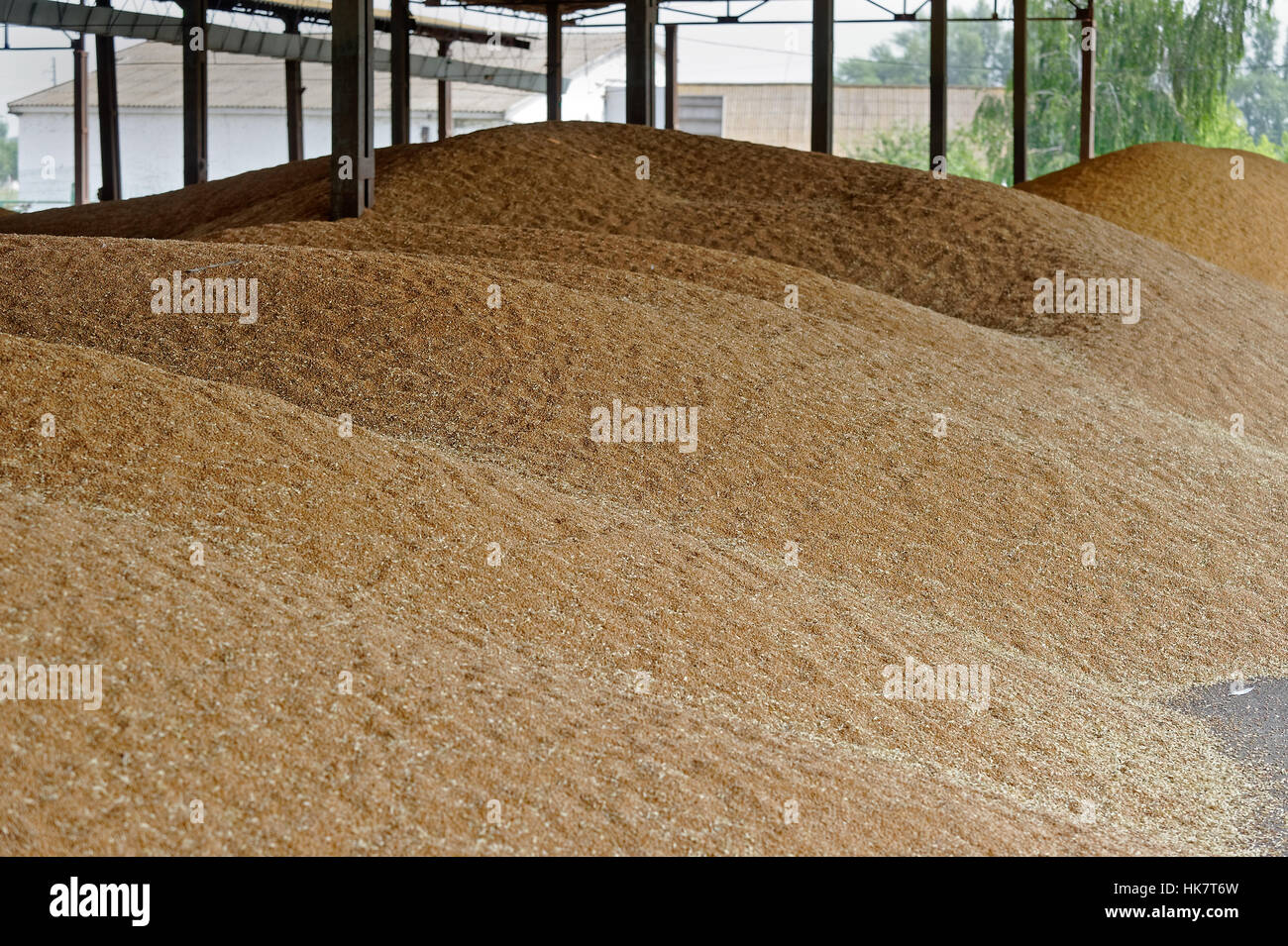 Thrashing Floor Stock Photos Thrashing Floor Stock Images Alamy