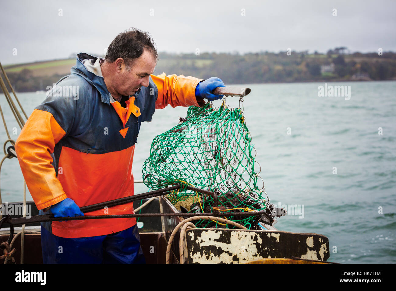 Traditional Sustainable Oyster Fishing. A fisherman opening a fishing creel on a boat deck. Stock Photo