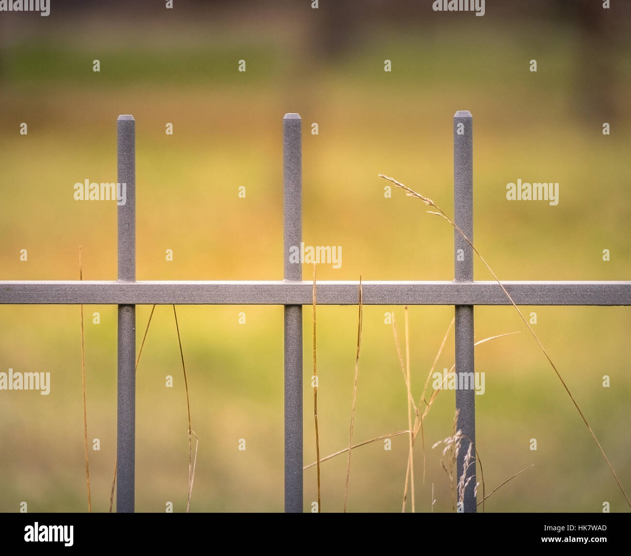 Steel fence with blurry background Stock Photo - Alamy