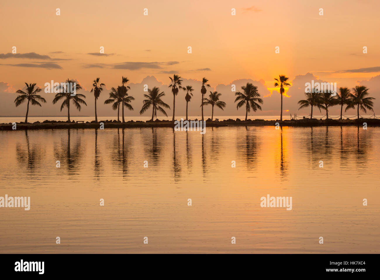 REFLECTING POOL ATOLL MATHESON HAMMOCK COUNTY PARK MIAMI FLORIDA USA