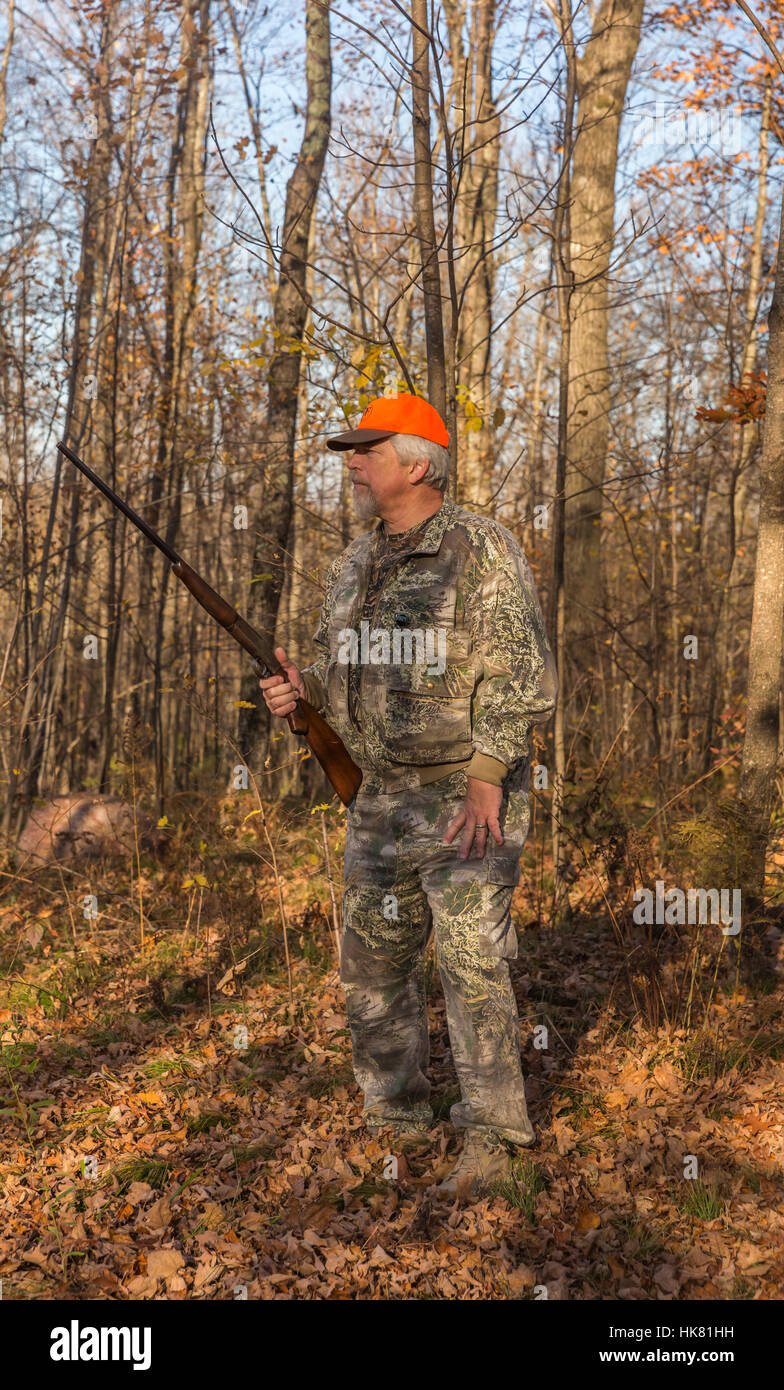 Ruffed grouse hunting in autumn Stock Photo Alamy