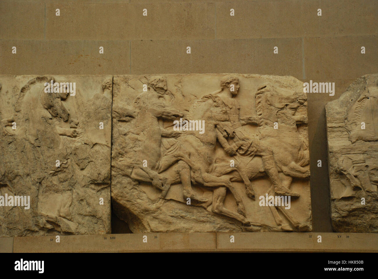 Elgin Marbles from the Parthenon Temple of Athens Akropolis British Museum London UK Stock Photo
