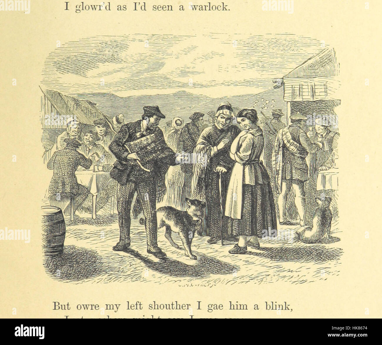 The photograph shows a page from 'The Illustrated Family Burns ...