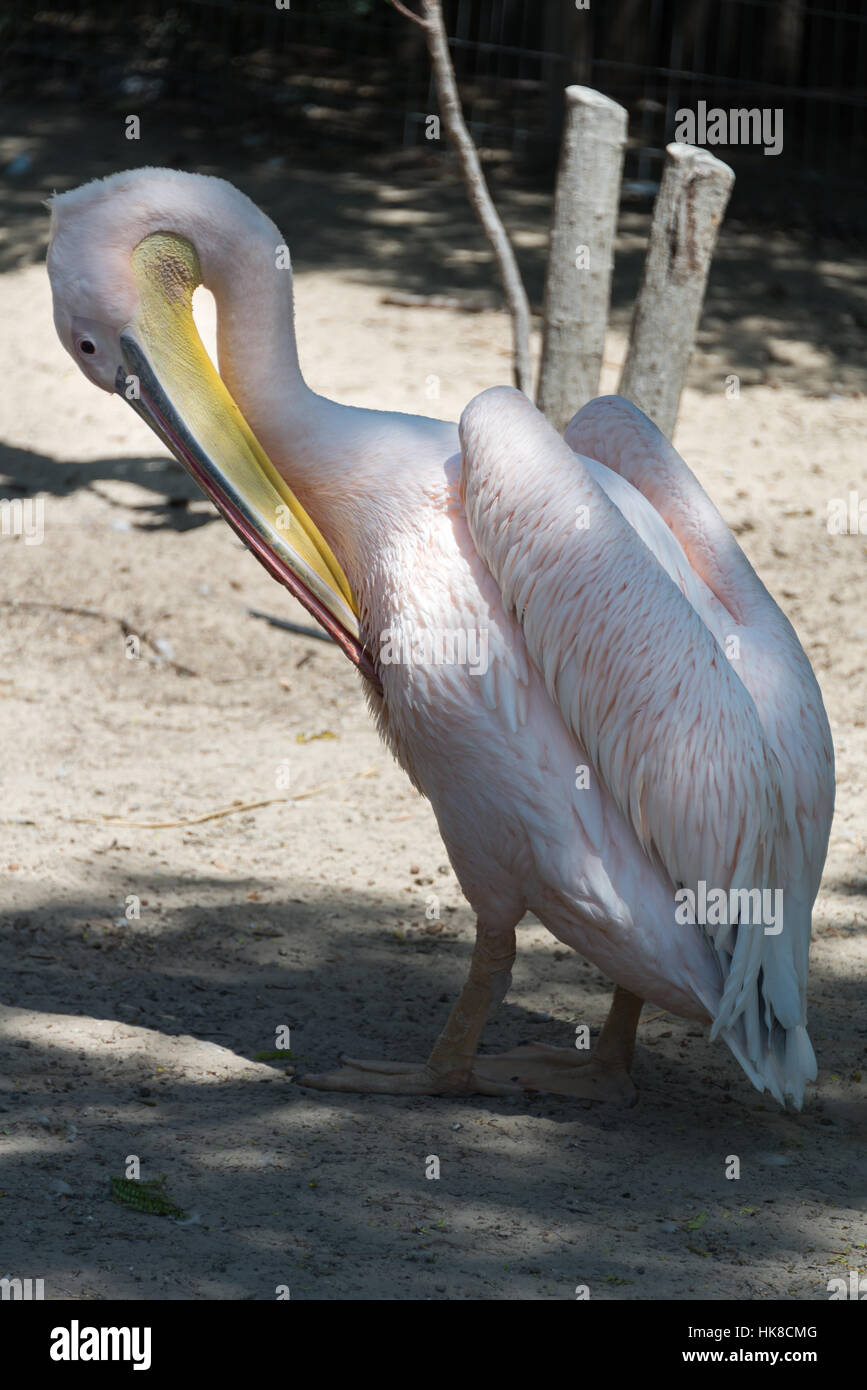 Visiting Hay Park in Kiryat Motzkin, Israel Stock Photo Alamy
