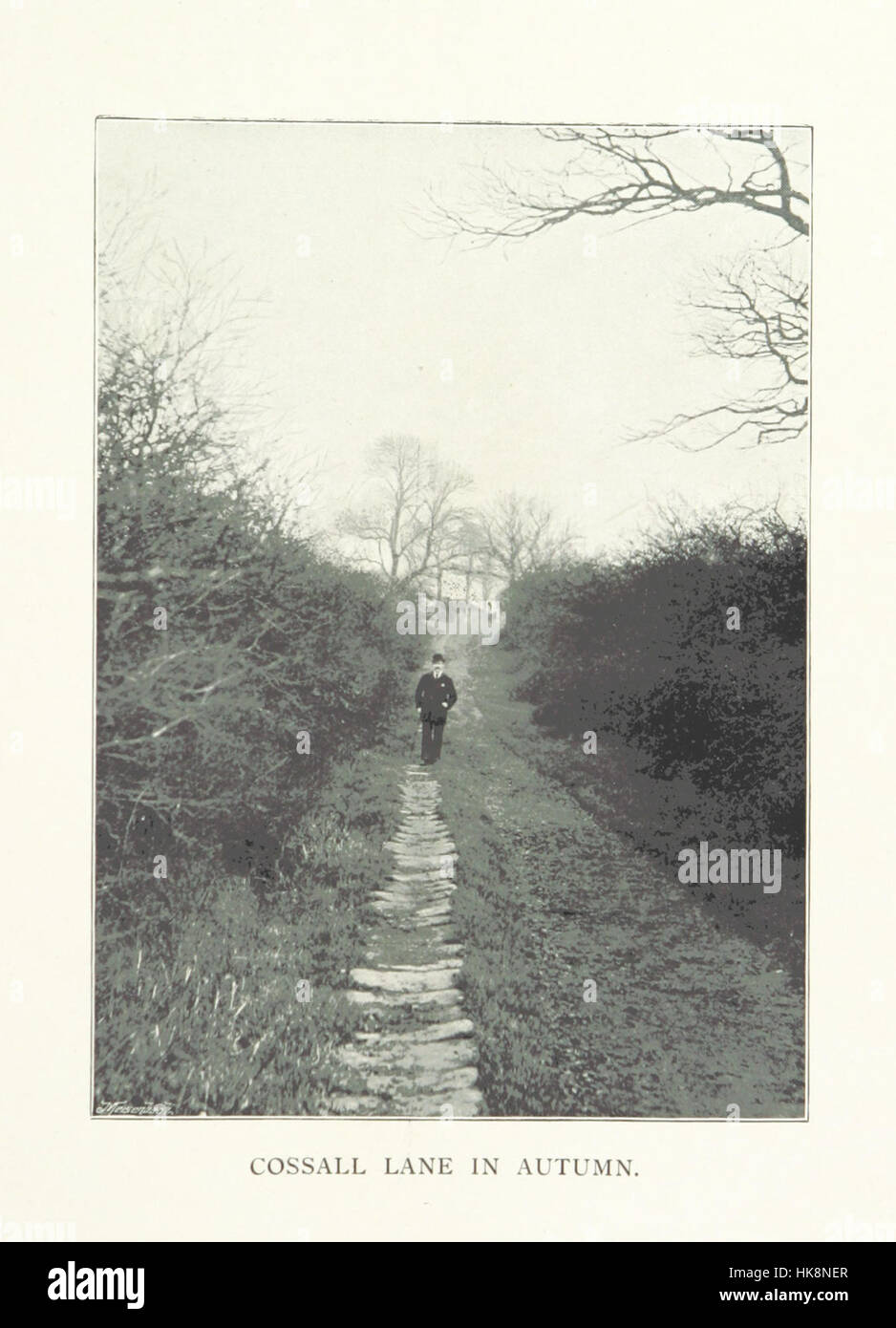 History of Ilkeston, together with Dale Abbey, Kirk Hallam, West Hallam