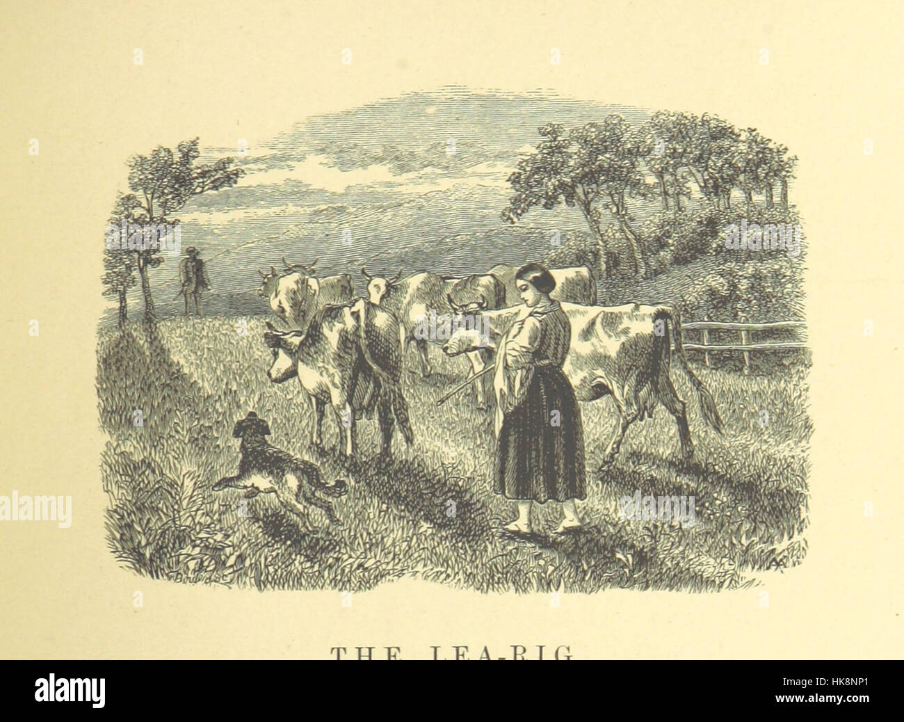 Image from page 535 of 'The Illustrated Family Burns', a collection of ...