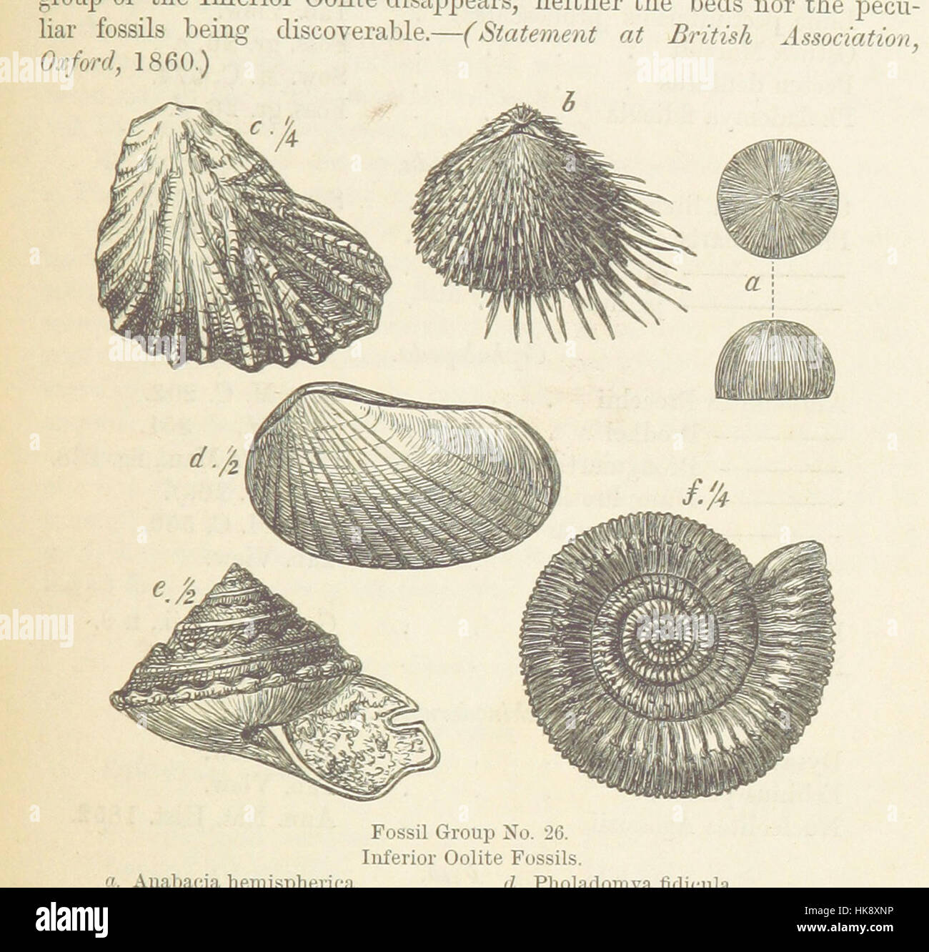 Geology Guidebook Example Photograph from 'The Student's Manual of Geology', a geological ...