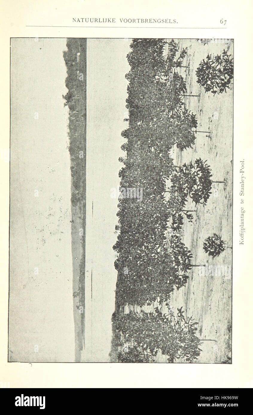 Image From Page 71 Of De Onafhankelijke Congostaat Depicting The Image From Page 71 Of De Onafhankelijke Congostaat Depicting The