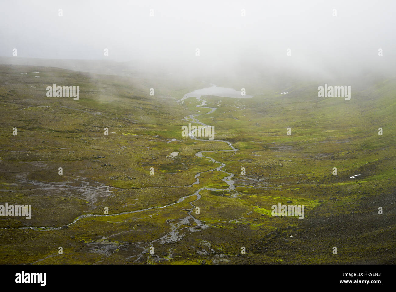 Hornvik, Hornstrandir, Iceland. July 2015 Stock Photo