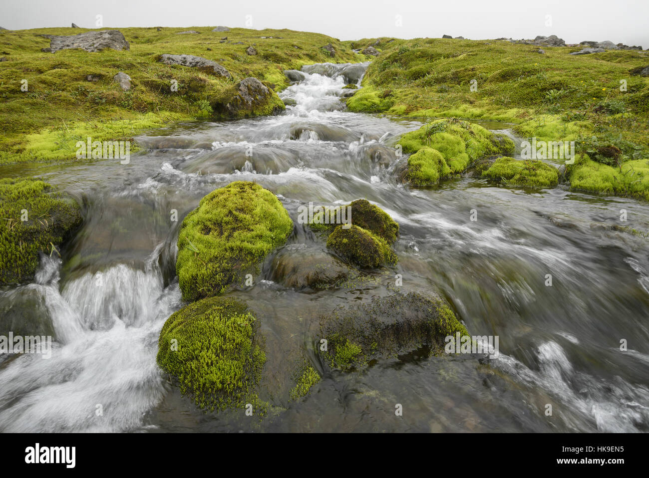 Hornvik, Hornstrandir, Iceland. July 2015 Stock Photo