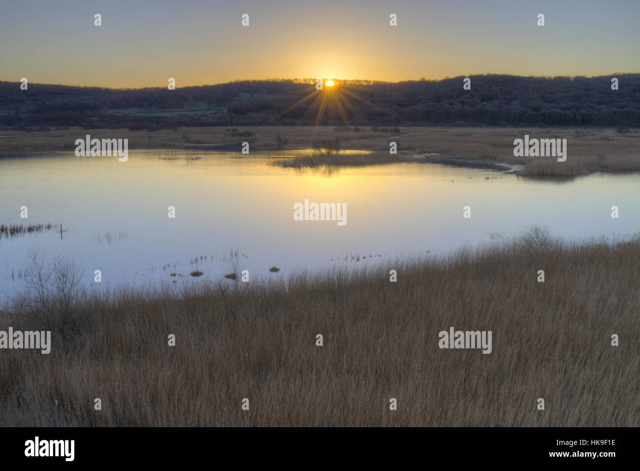 View overfreshwater pools and reedbed at sunrise. Leighton Moss RSPB Nature Reserve. Lancashire, England. March. Stock Photo