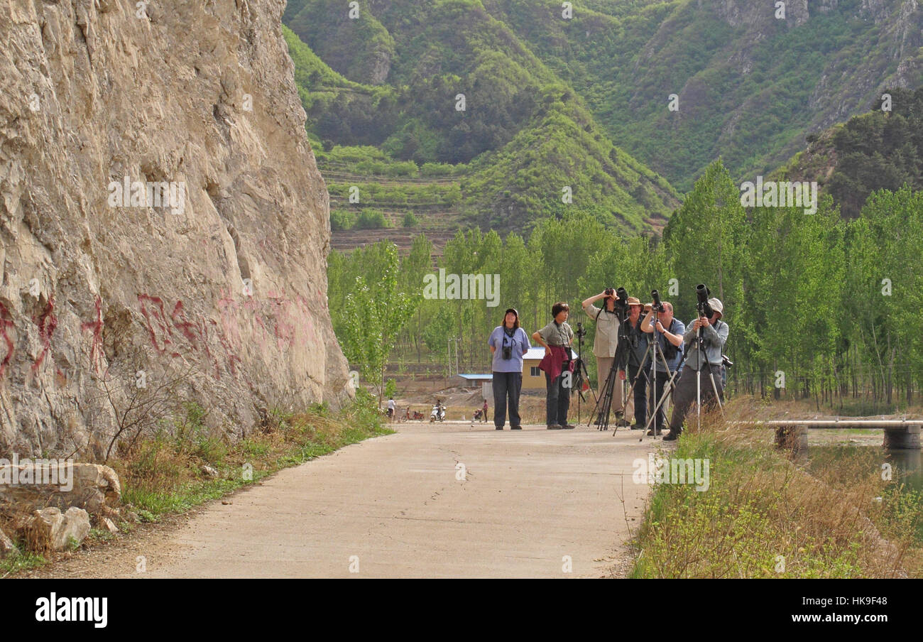 Birdwatchers looking at birds on a cliff  Beidaihe, Hebei, China       May 2016 Stock Photo