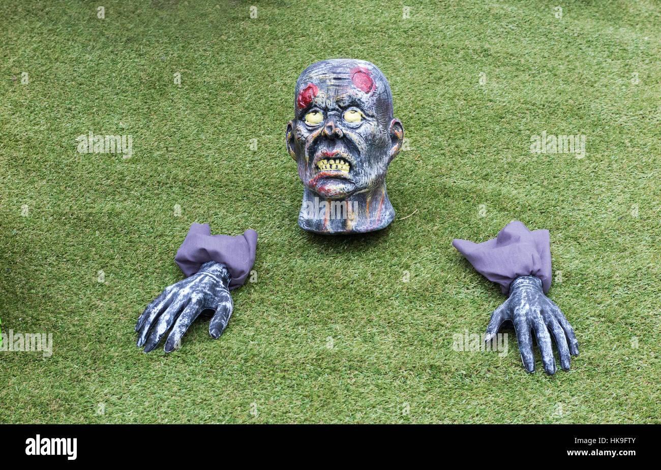 Scary Halloween Zombie skull and hands in swamp Stock Photo - Alamy