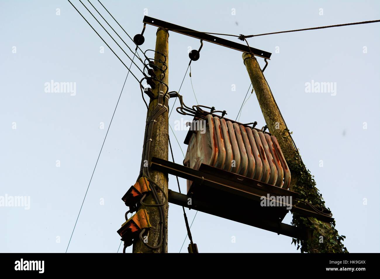 Telephone pole in Cornwall, UK Stock Photo Alamy
