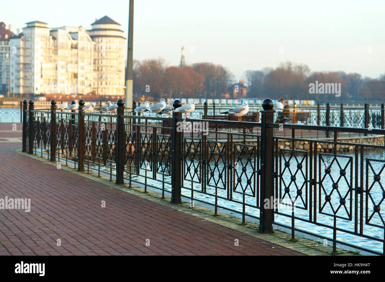 fence of wrought iron on the lake, fence the lake shore Stock Photo - Alamy