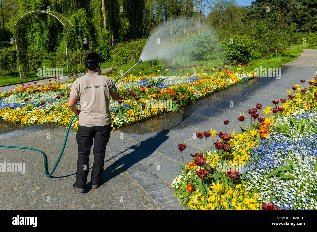 Gardener watering the flowers at Island Mainau, the 'Island of flowers' at Lake Constance Stock Photo
